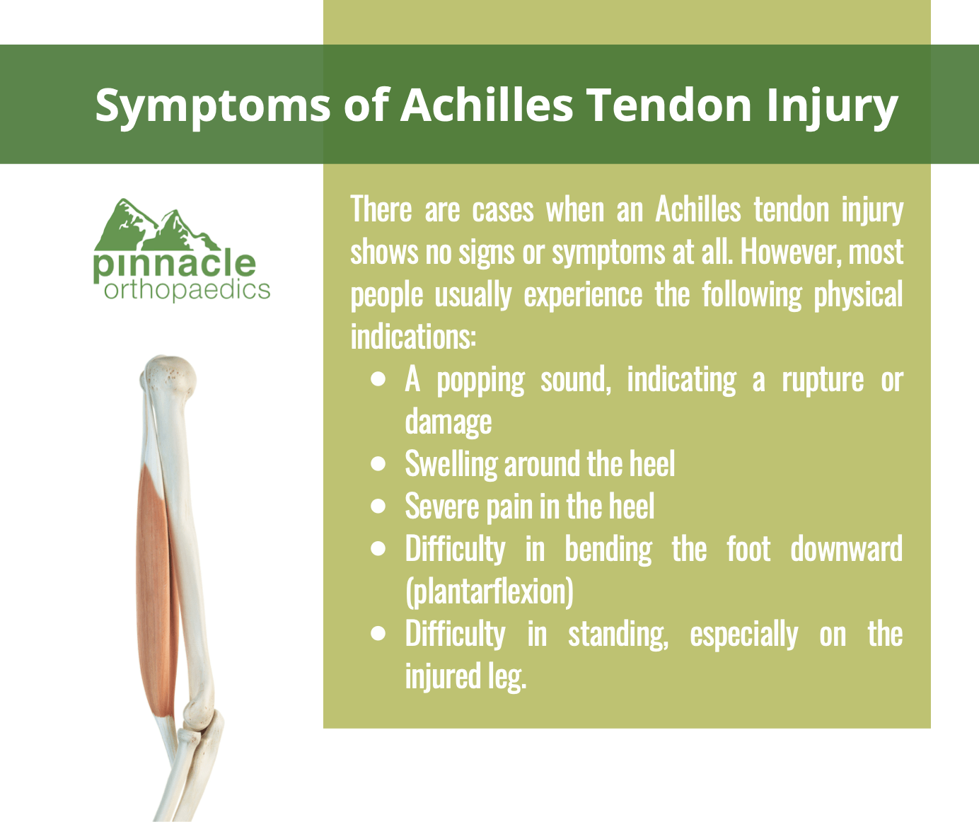 How To Know If You Have A Damaged Achilles Tendon Pinnacle Orthopaedics