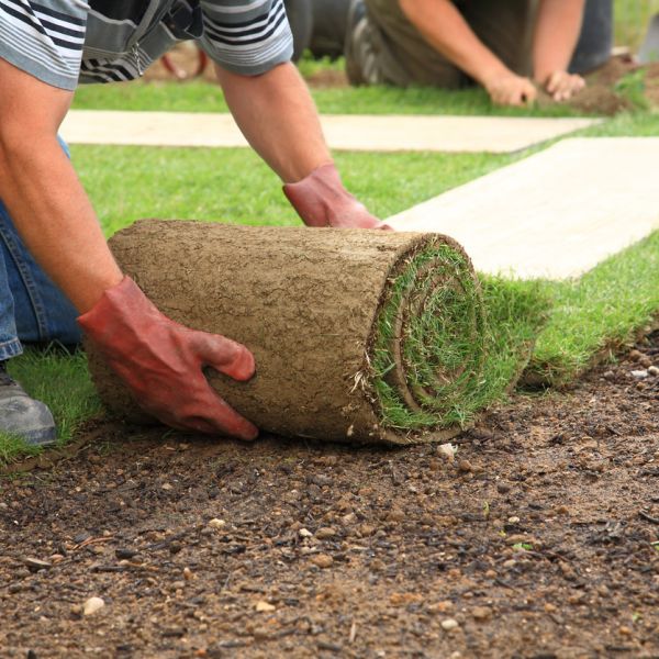 Atlanta S Premier Sod Supply Installation Atlanta Sod Company