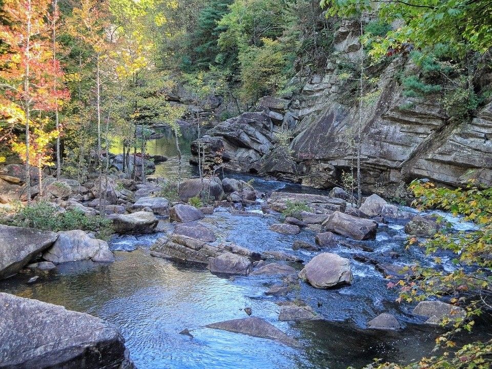 North Georgia Hiking Trails: Our Top 10 Favorite Hikes