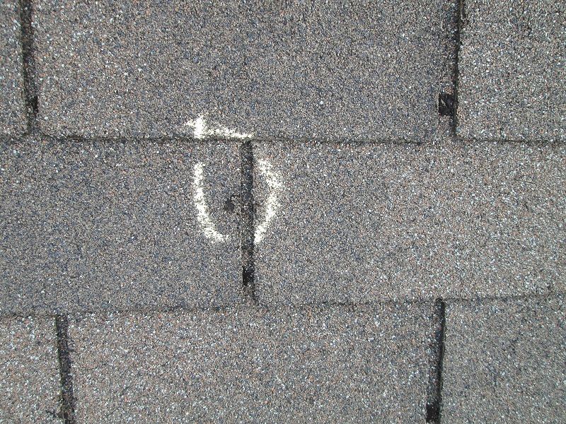 Dimpled Shingle