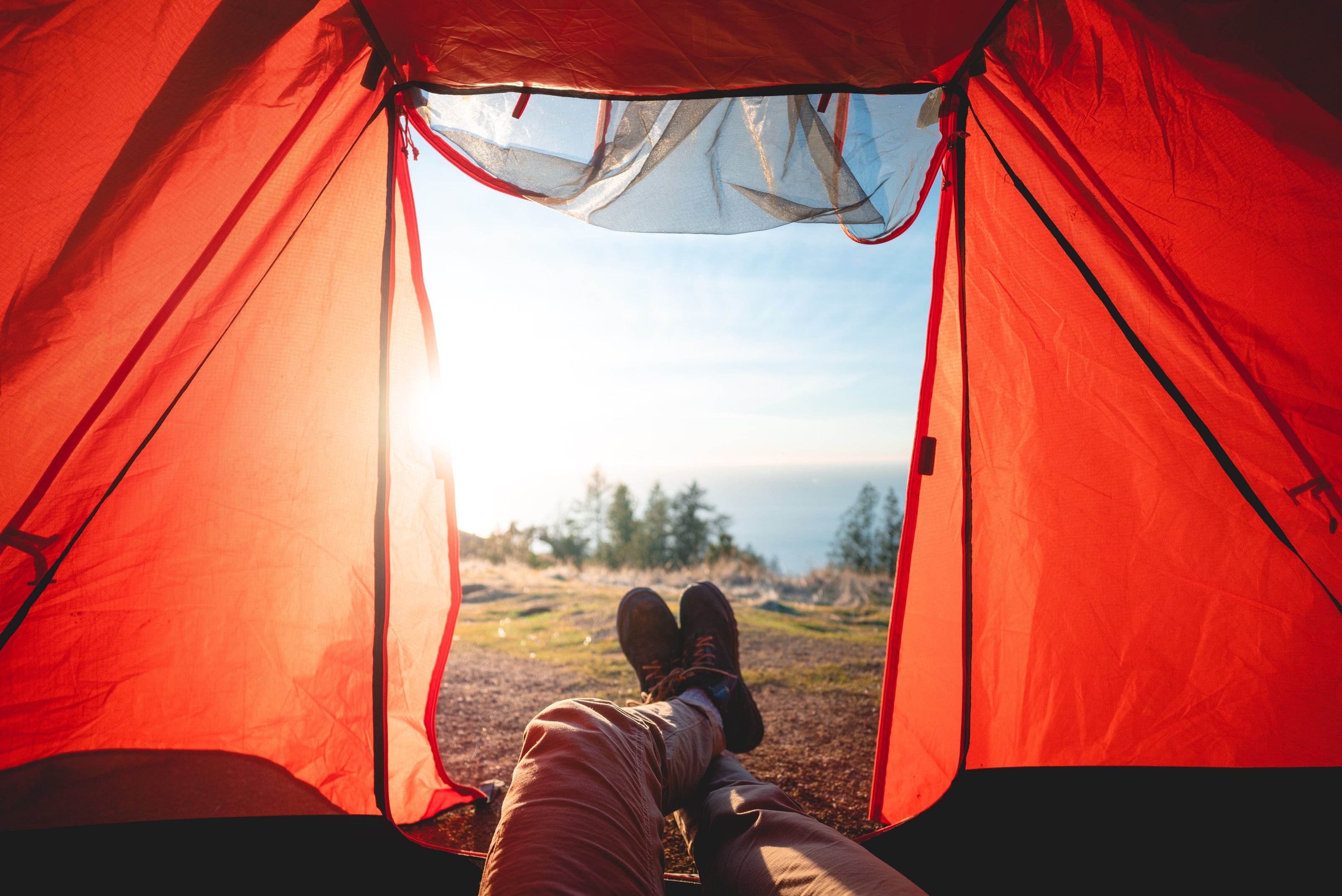 person camping in a tent in the forest