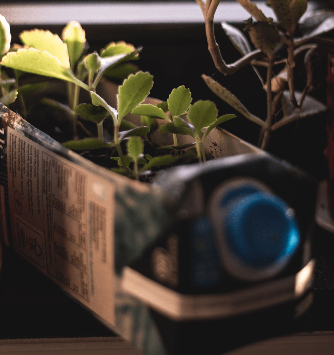 upcycled planter