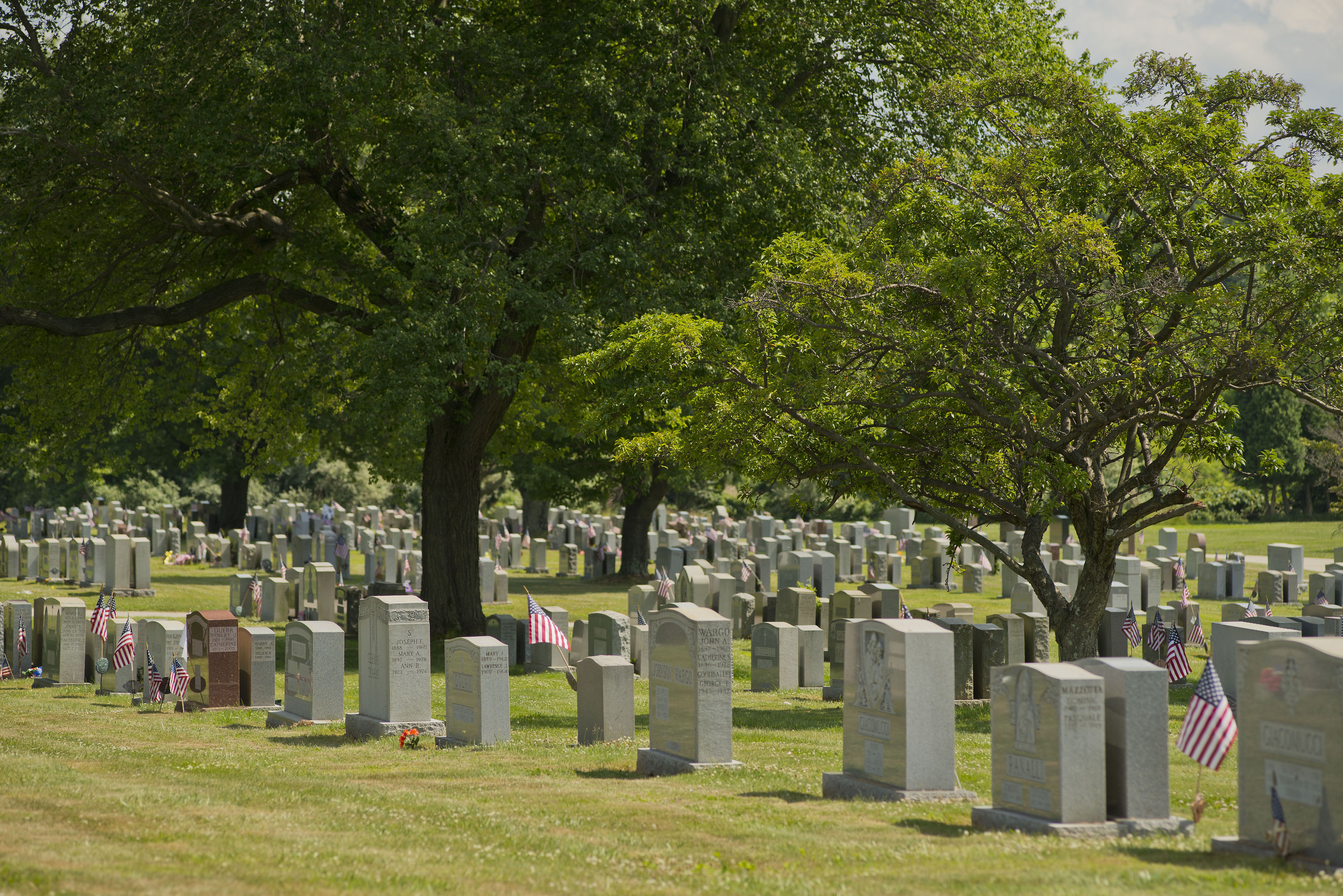 burial plots in cemetery