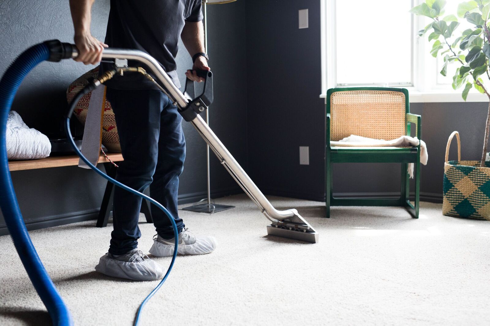 Carpet Cleaner In Houston Busy Bee Carpet Steamers