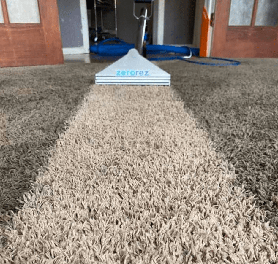 Carpet Cleaning with Zerorez® Zerorez of East Florida