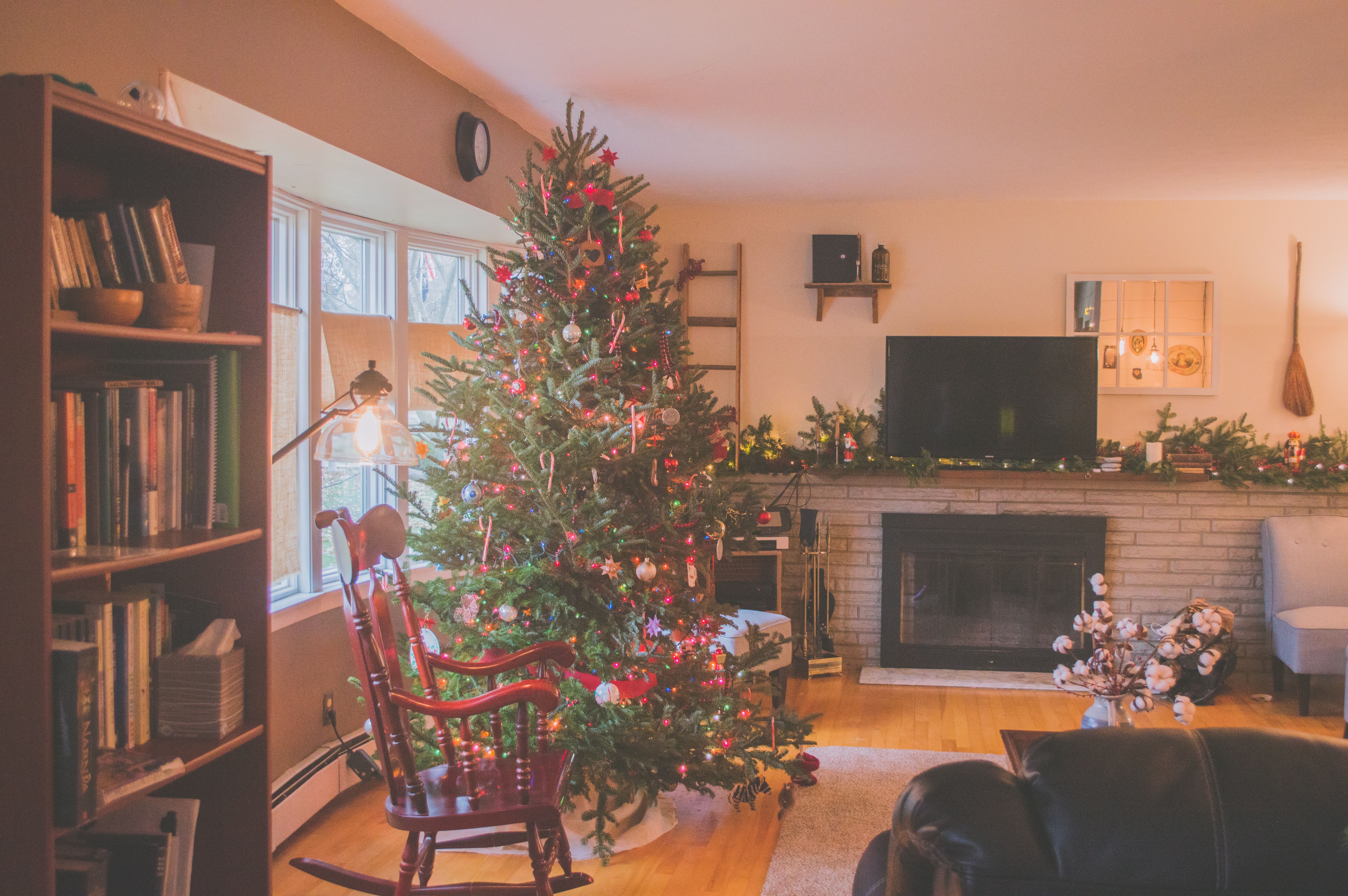 pest management in atlanta for this christmas season