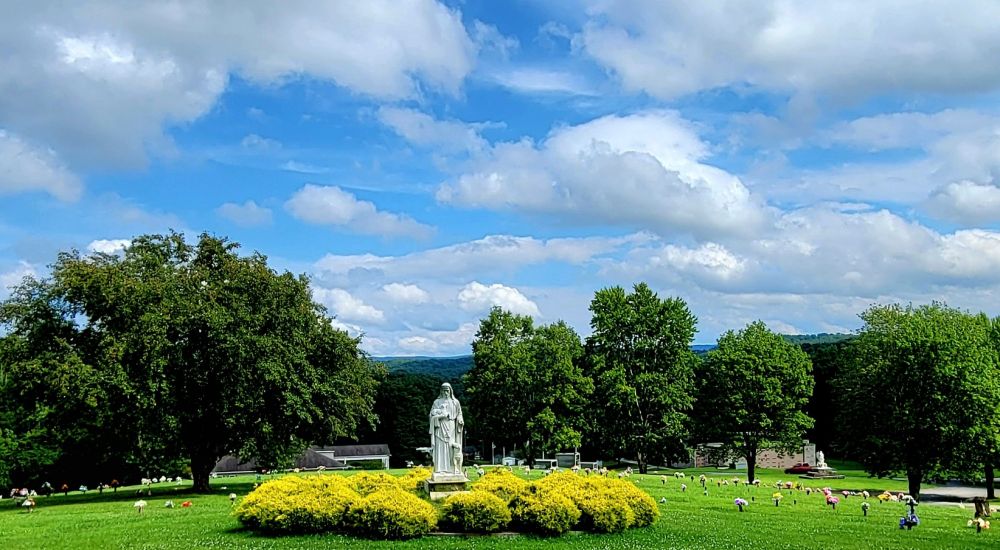 a large green park with trees and a statue in the middle