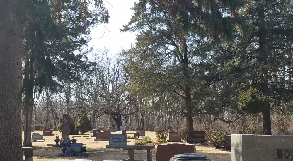 a cemetery with trees
