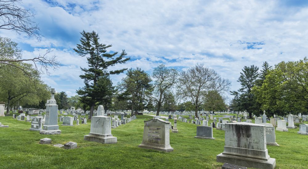 a cemetery with many headstones