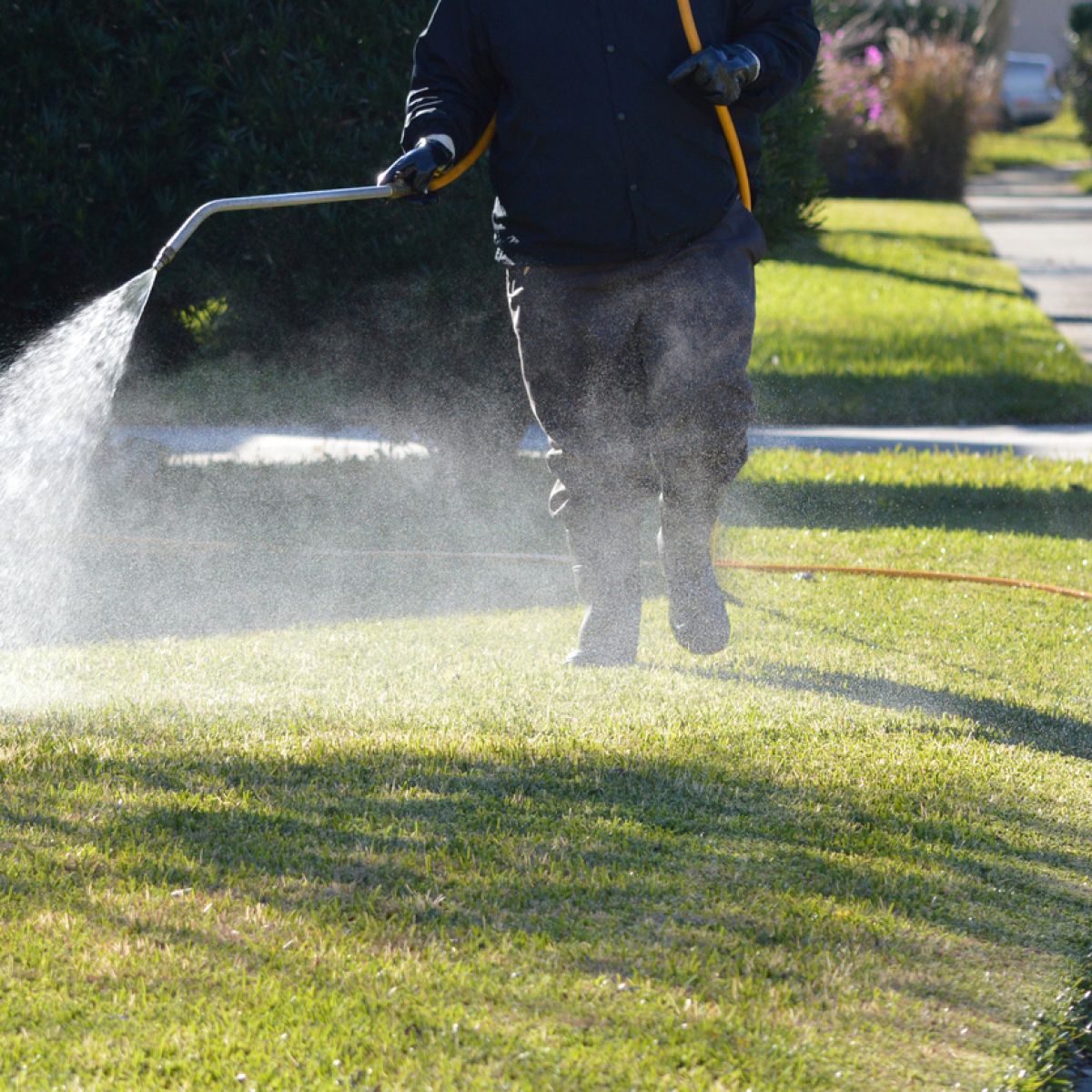 Atlantas Premier Sod Supply And Installation Atlanta Sod Company