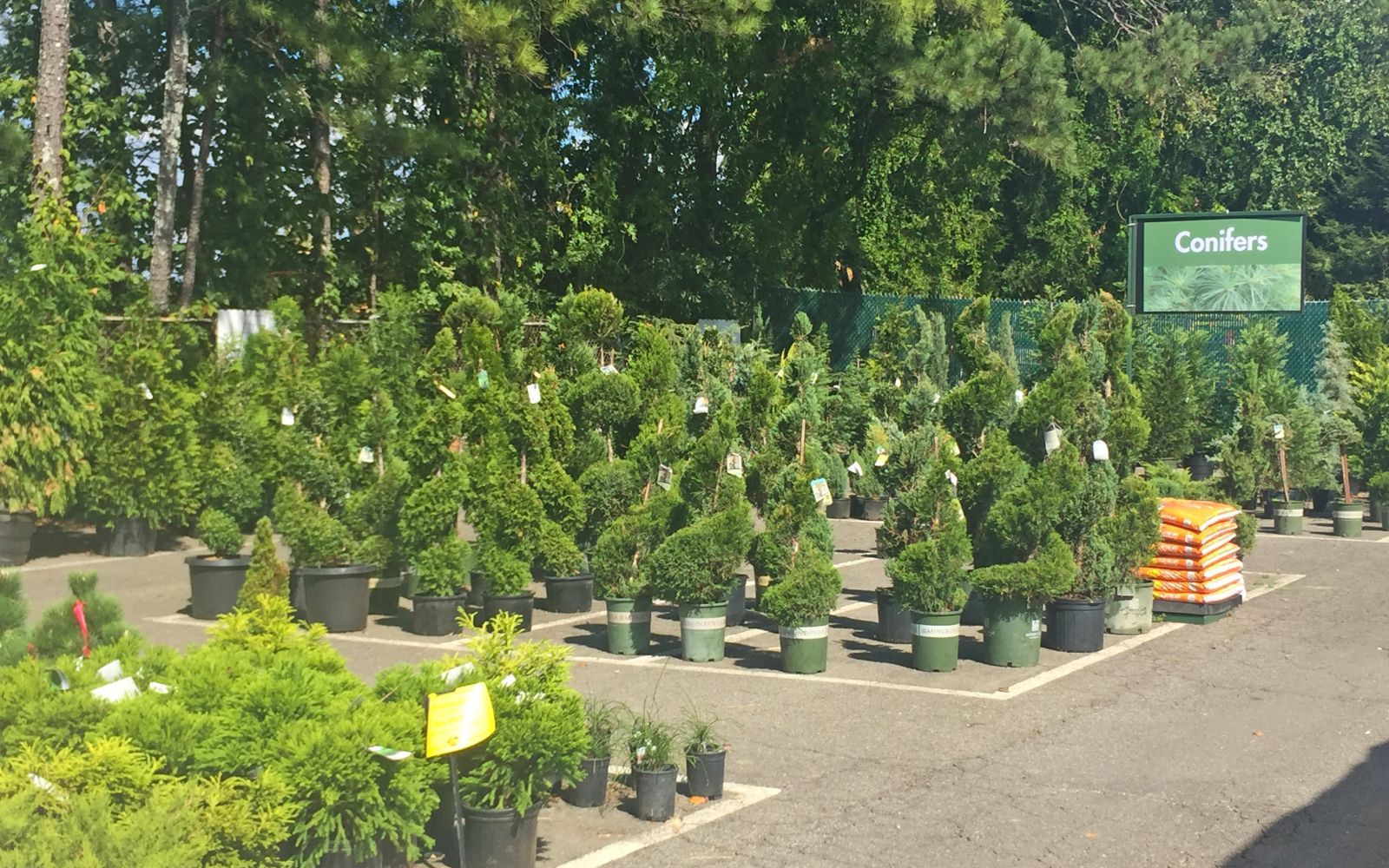 Pike Nurseries Garden Center & Landscape Design Marietta, GA Pike