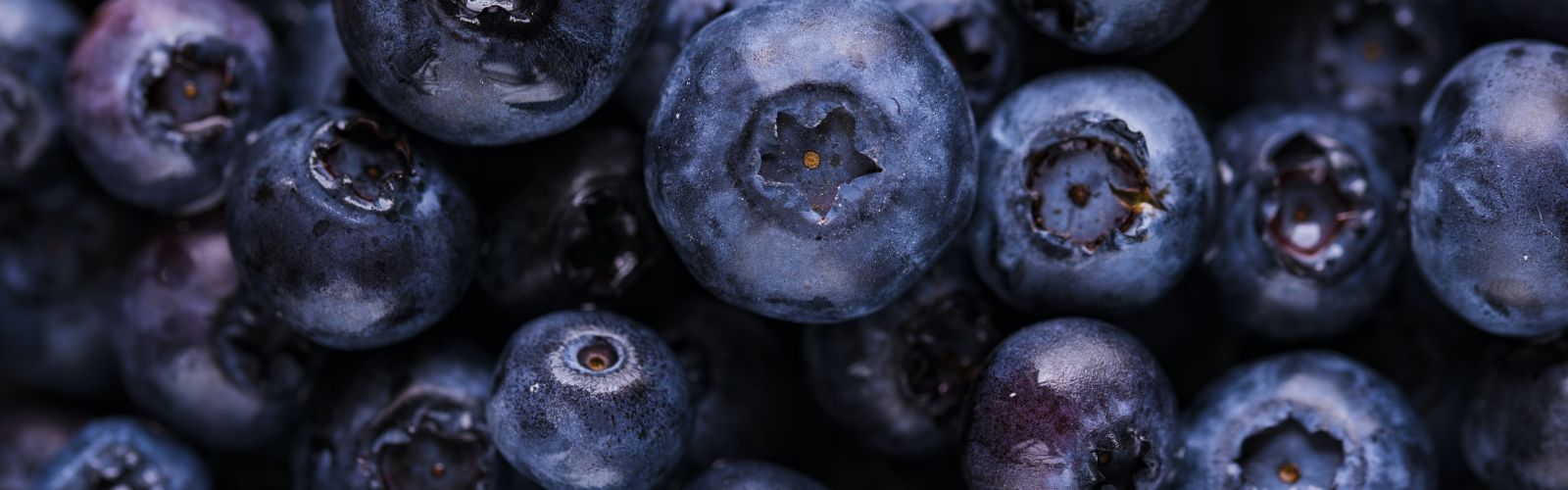 a close up of blueberries