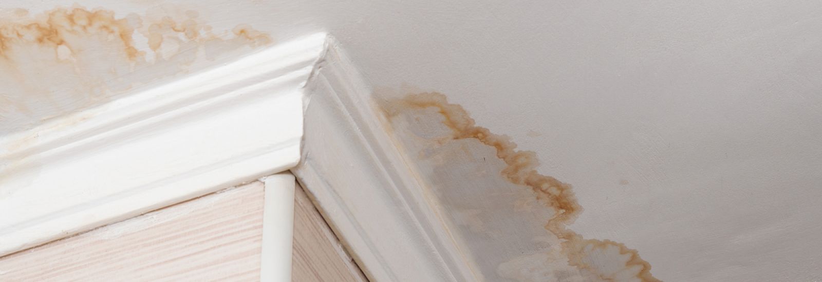 Leaky Roof? Now What?