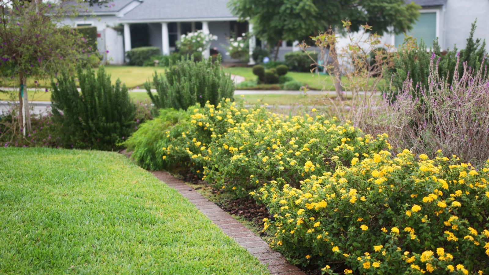 Landscape Design Installation Garden Supplies Armstrong Garden Centers