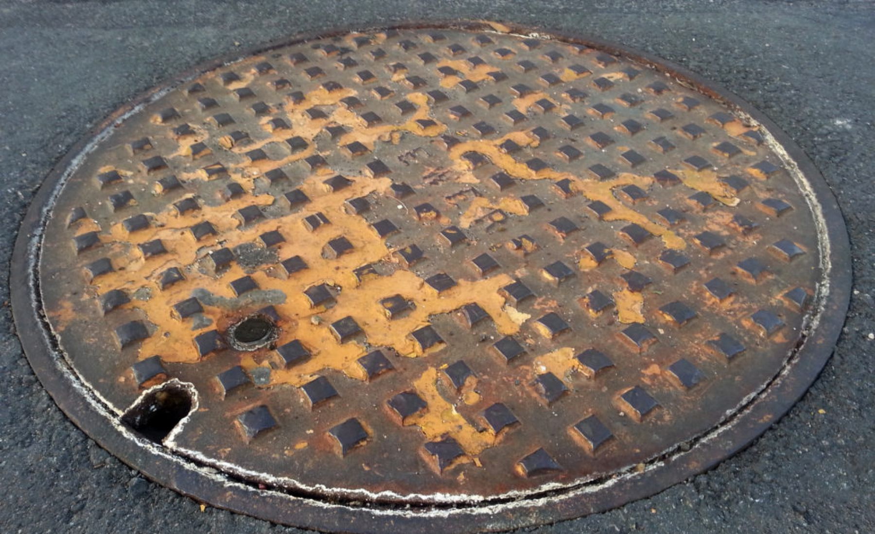 How Local Sewer Damage Can Affect Your Home 