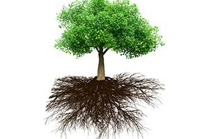 Security Principle #3 - Cut Roots, Not Branches