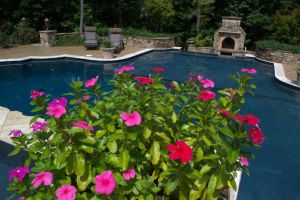 Gunite Pool with backyard living additions