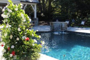 Gunite Pool with water features