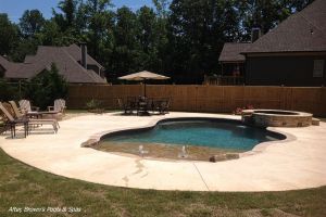 Gunite Pool With Beach Entry & Spill Over Spa