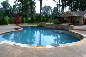 A freeform gunite pool nestled in the suburbs of Metro Atlanta.