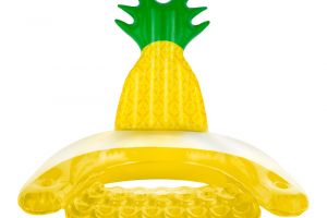 Be a Queen For The Day In The Pineapple Chair