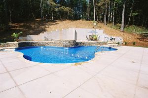 Freeform Pool with Water Feature