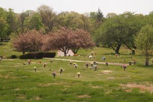 Virginia Memorial Park