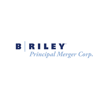 B Riley Financial Diversified Financial Services Platform