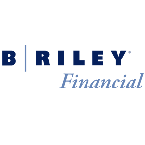 B. Riley Financial | Diversified Financial Services Platform