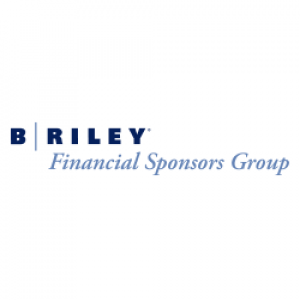 Financial Sponsors Group