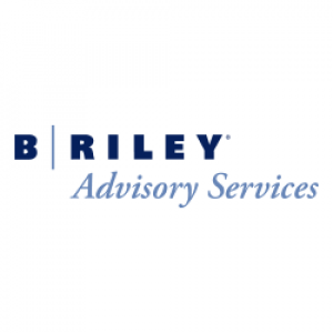 B. Riley Advisory Services