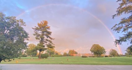 a rainbow over a field of grass with trees in the background