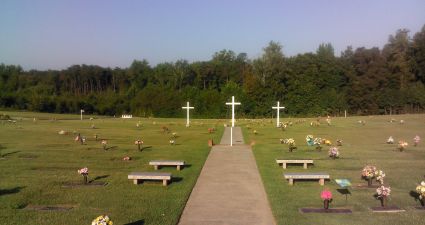 a cemetery with many crosses