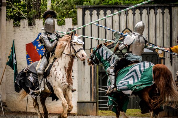 How To Start jousting rules With Less Than $110