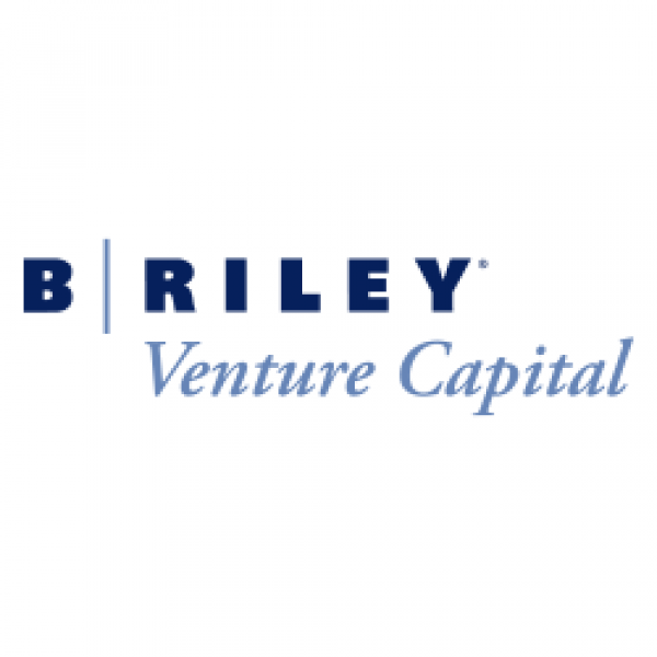 B. Riley Financial | Diversified Financial Services Platform