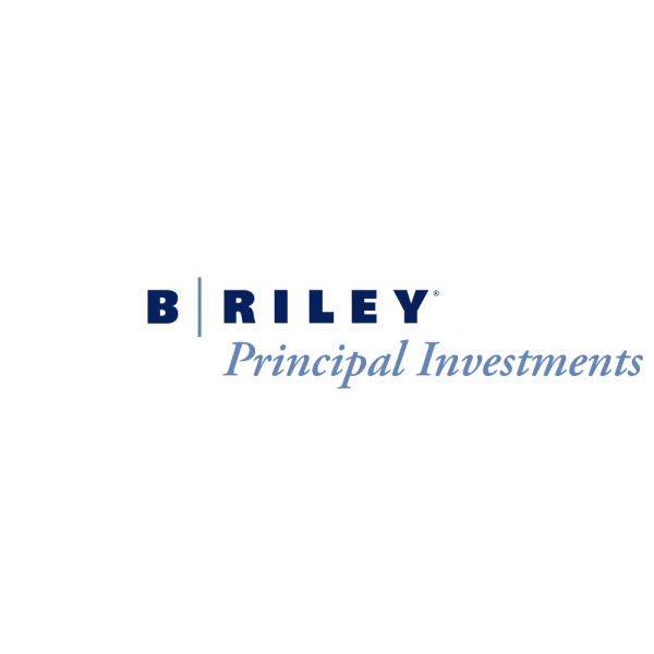 B. Riley Financial | Diversified Financial Services Platform