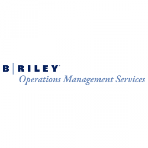 B. Riley Financial | Diversified Financial Services Platform