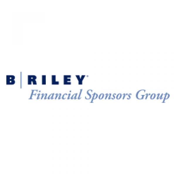 B. Riley Financial | Diversified Financial Services Platform