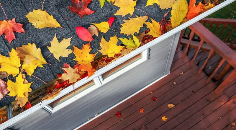 Roof Maintenance Tips for Fall image