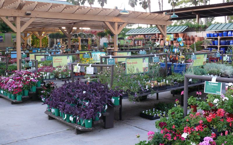 Armstrong Garden Centers, Newport Beach - Orange County, CA | Armstrong ...