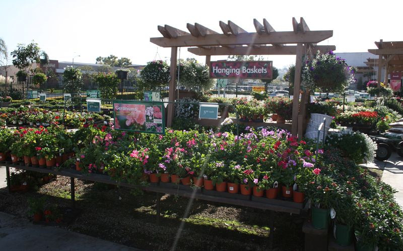 Armstrong Garden Centers, Torrance - Los Angeles, CA | Armstrong Garden ...