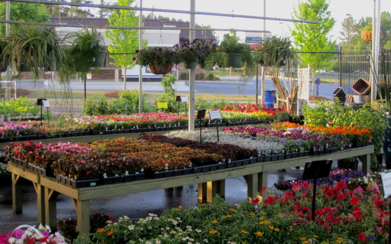 Pike Nurseries Garden Center & Landscape Design Towne Lake, Woodstock