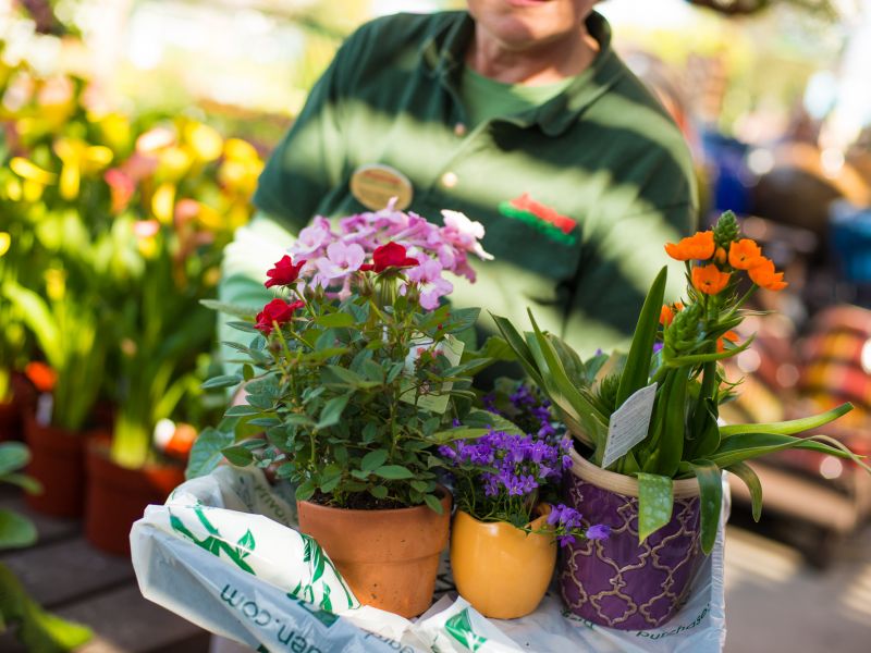 armstrong associate holding flowers