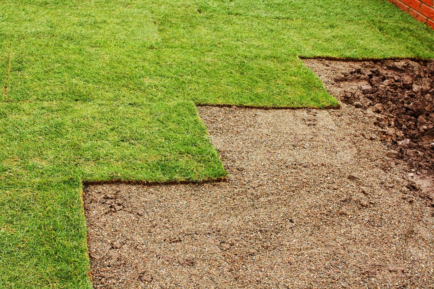 Zorro Zoysia Sod Varieties Atlanta Sod Company