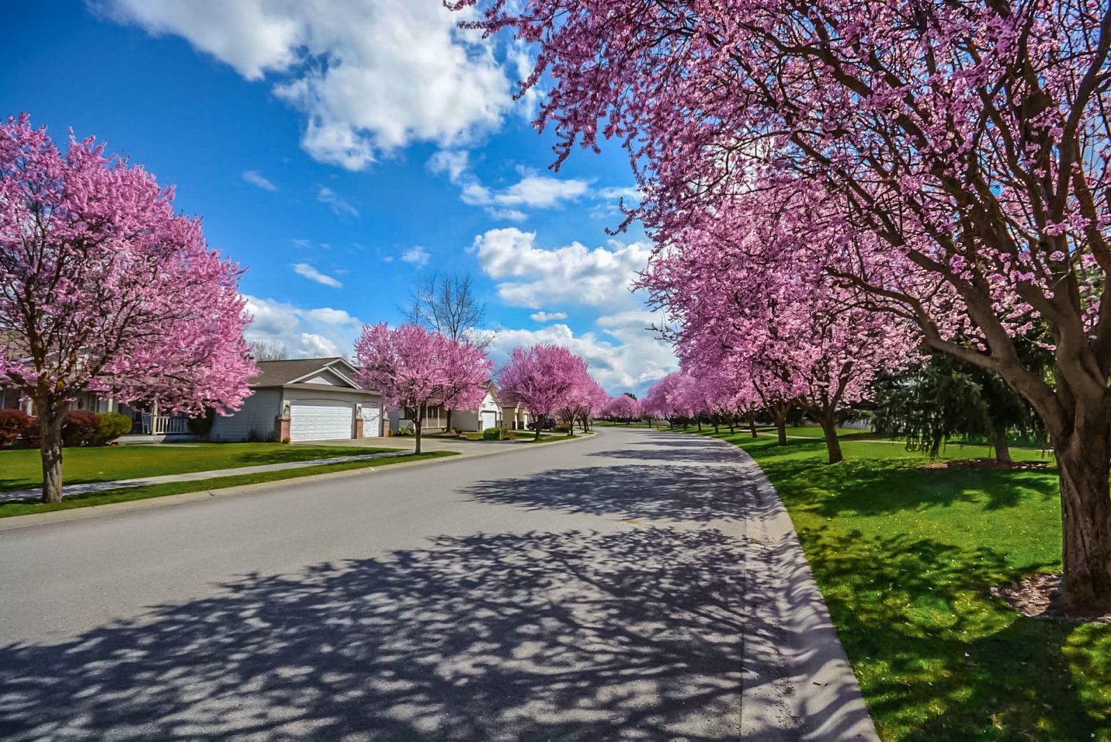 What Supplies Do Homeowners Need to Protect Against an Invasion?